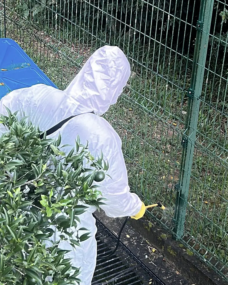 Profissional de macacão branco aplica produto na base do alambrado, no perímetro externo do terreno.