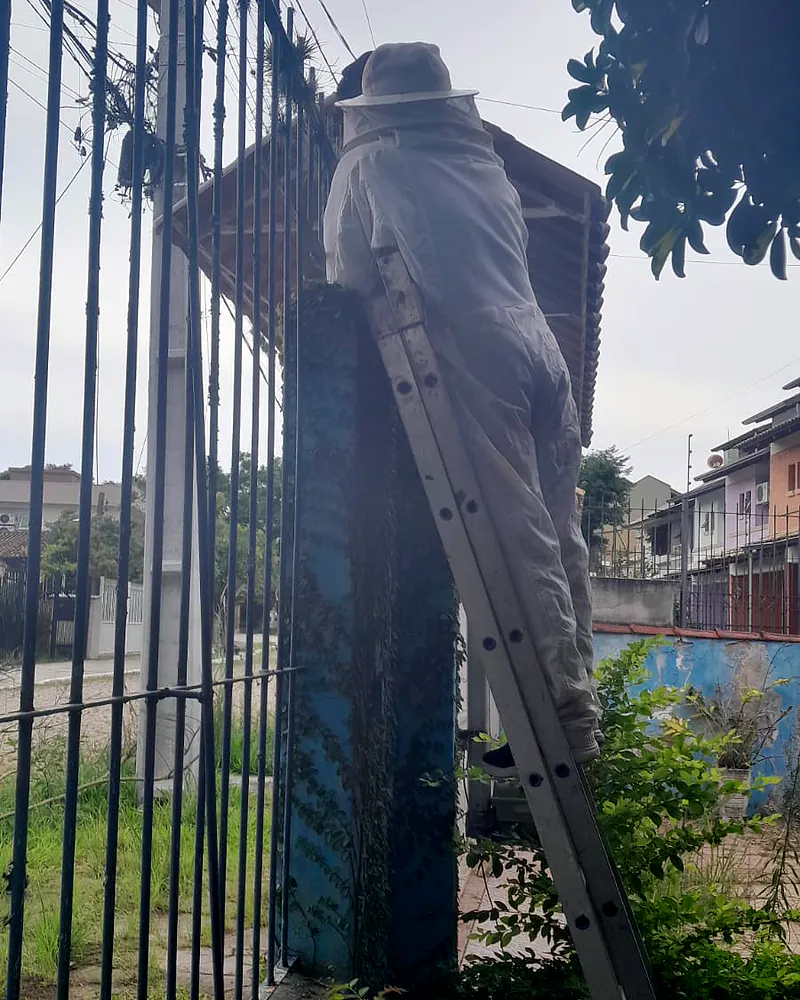Profissional de macacão de proteção sobe uma escada de alumínio apoiada no muro de um pátio, ao lado do portão de grade.
